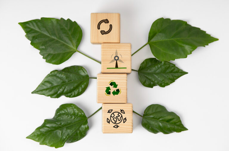 A Sustentabilidade e o Desenvolvimento Sustentável São Conceitos Diferentes ou não