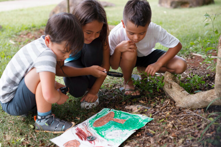 Como Trabalhar Meio Ambiente na Educação Infantil e nas escolas