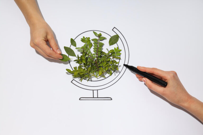 Qual a Diferença Entre Economia Linear e Economia Circular na sustentabilidade