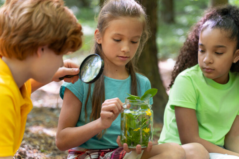Qual a Importância da Educação Ambiental nas escolas