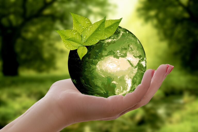 A Sustentabilidade é um Requisito da Economia Circular?