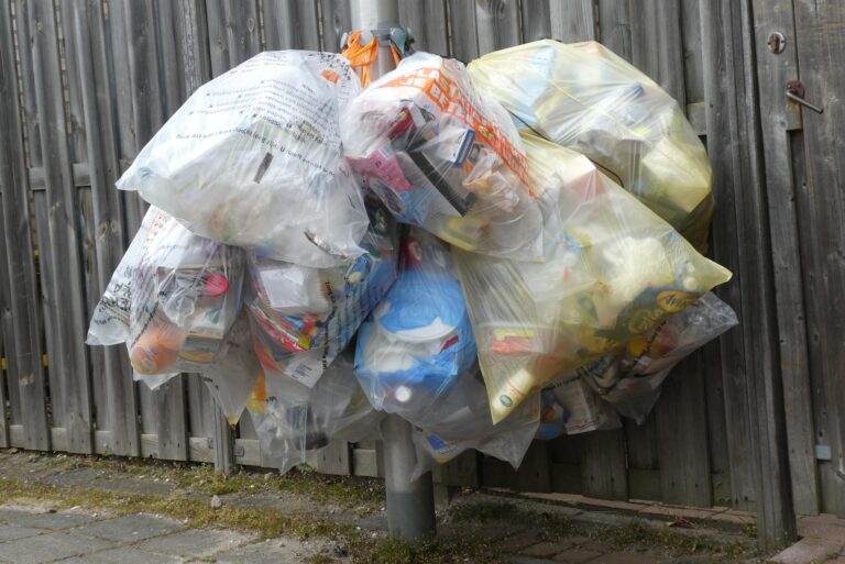 O Que Pode Ser Reciclado?