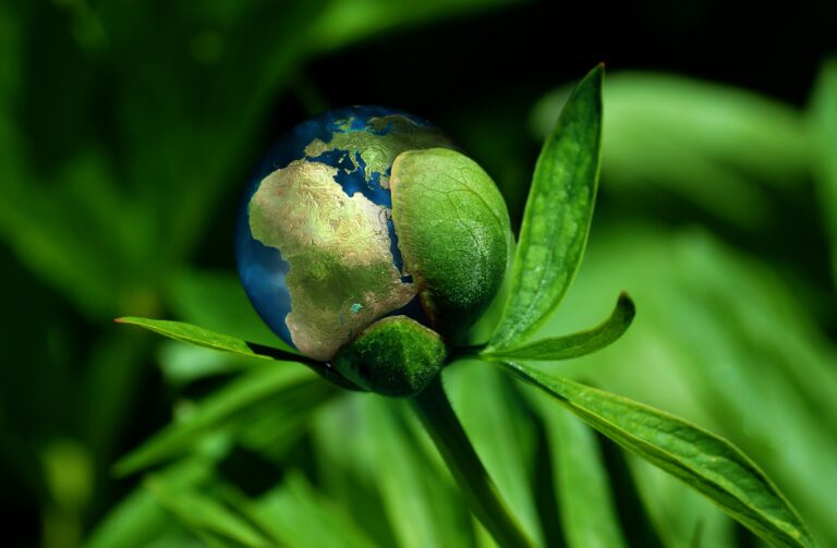 O Que É Impacto Ambiental?