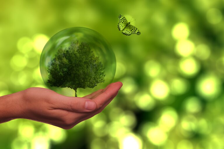 O Que É Economia Verde?