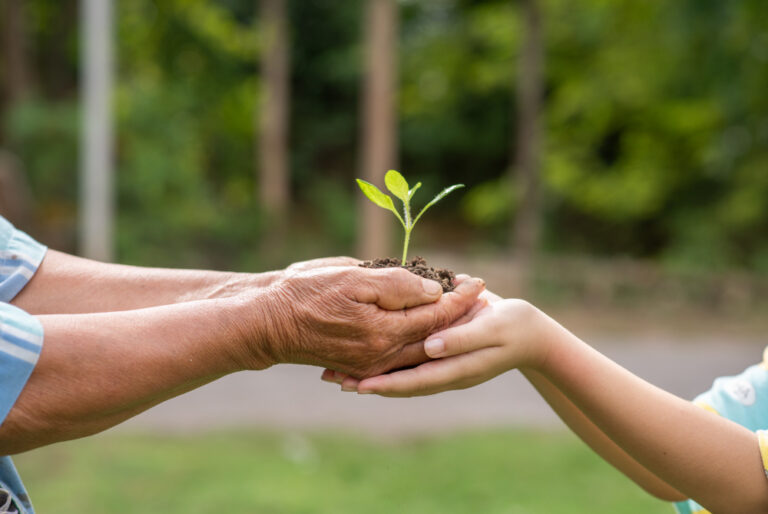 Como Preservar o Meio Ambiente na Educação Infantil e nas escolas